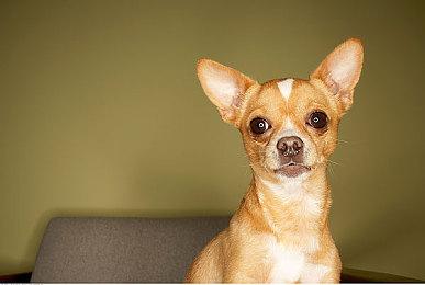 PlayStation公布新宣传片 第一方大作带你体验新世界